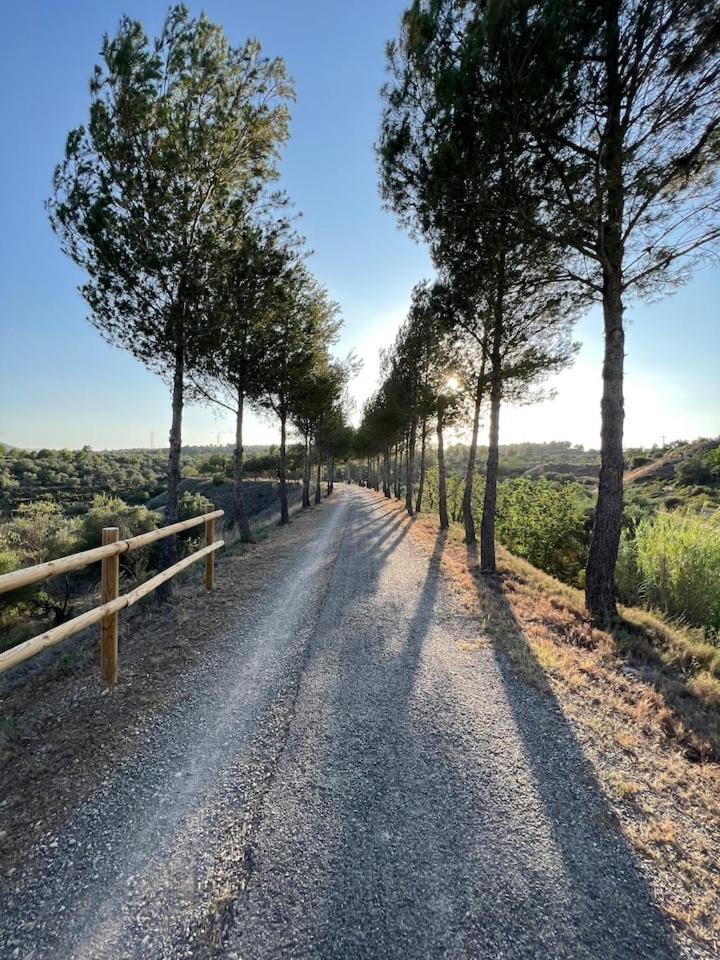 Rural Piedra Appartement *